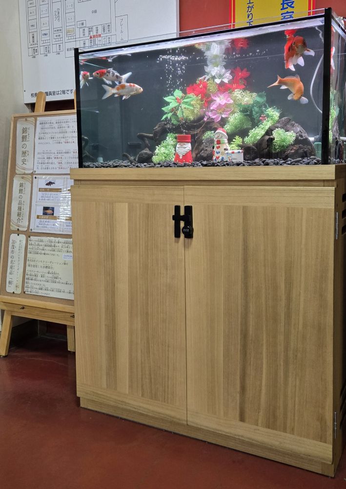 錦鯉水槽飼育普及協会